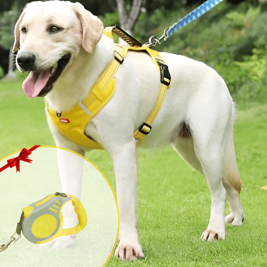 PawGrip™ | Wandel veilig met je hond