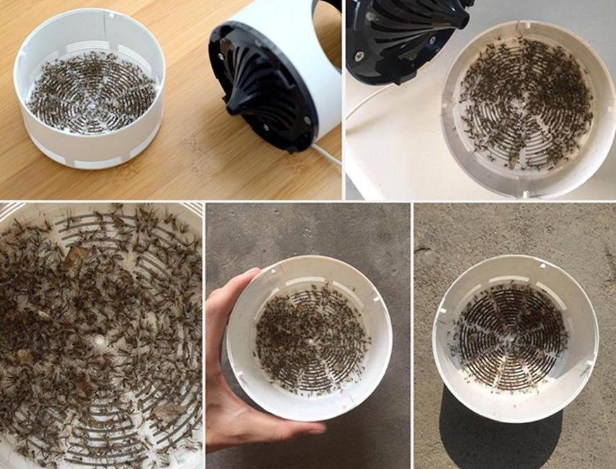 BugBuster™ | Zeg vaarwel tegen insecten