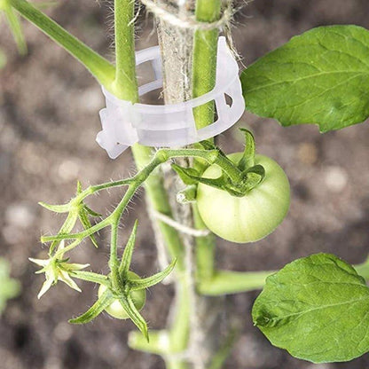 StableGrowth™ | Zorg voor een stevig tuin