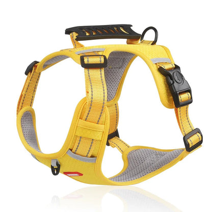 PawGrip™ | Wandel veilig met je hond