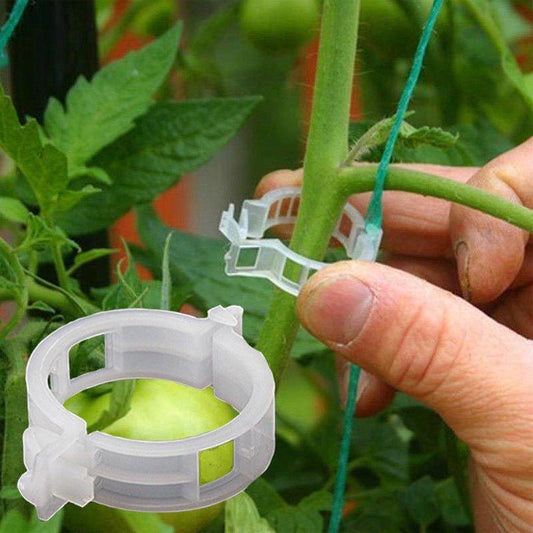 StableGrowth™ | Zorg voor een stevig tuin