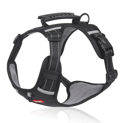 PawGrip™ | Wandel veilig met je hond
