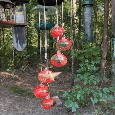 CharmesHummingbird™ | Maak je tuin magisch