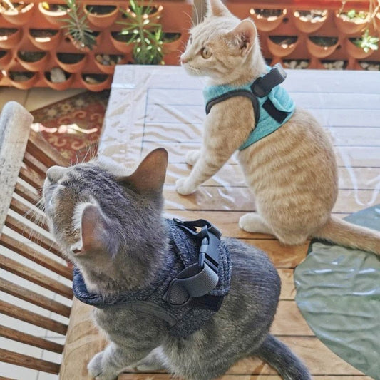 KattiNest™ | Veiligheid en comfort voor je kat