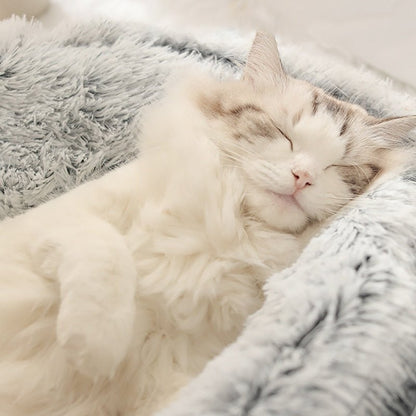 KatNest™ | Ultiem comfort voor je kat
