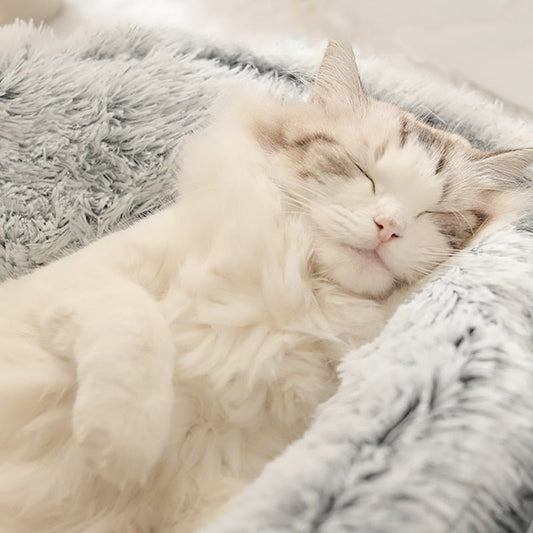 KatNest™ | Ultiem comfort voor je kat