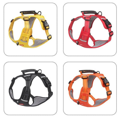 PawGrip™ | Wandel veilig met je hond