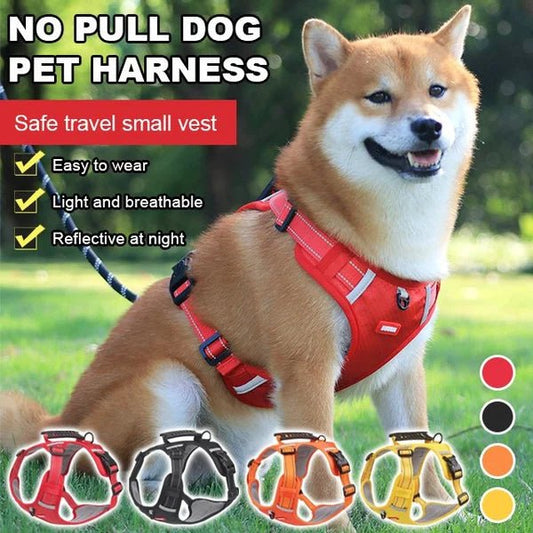 PawGrip™ | Wandel veilig met je hond