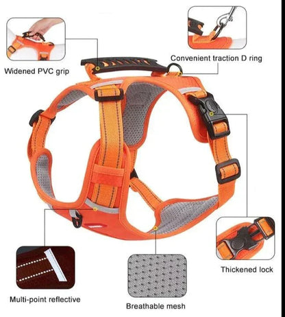 PawGrip™ | Wandel veilig met je hond