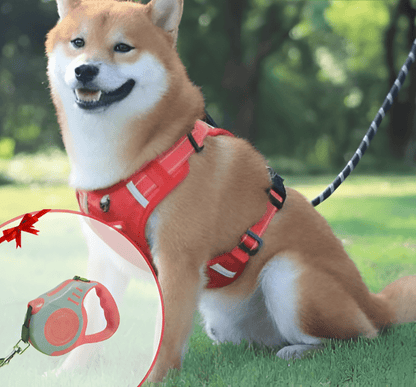 PawGrip™ | Wandel veilig met je hond