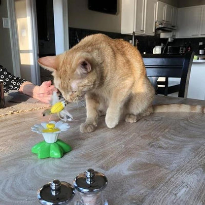 CatToy™ | Eindeloos plezier voor je kat