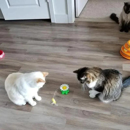 CatToy™ | Eindeloos plezier voor je kat